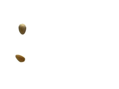 Image of pistachio shells on white background Foto stock
