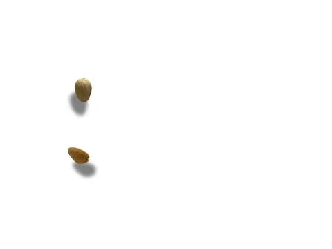 Image of pistachio shells on white background 写真素材