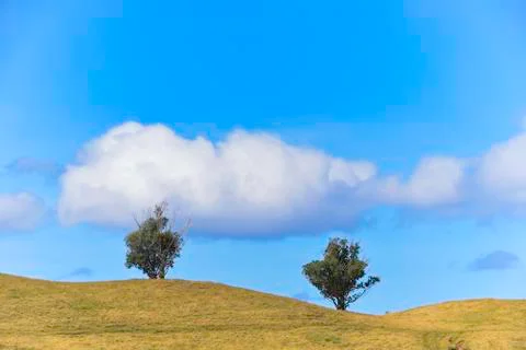 An image of postcard on Easter Island Stock Photos