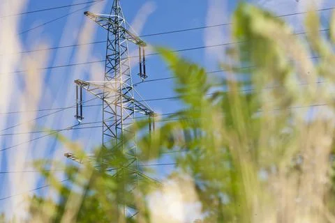 Image of power pole with blurred grass in foreground as contrast between mode Stock-Fotos