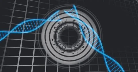 Image of processing circle over dna and checked black background Stock Photos