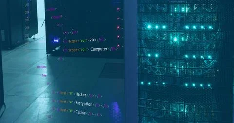 Image of programming language over data server racks Stock-Fotos
