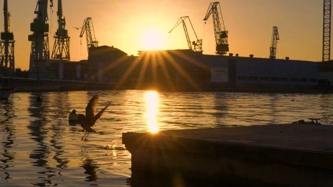 Image of Pula Harbour during scenic sunset, Croatia. Stock Footage 114691406