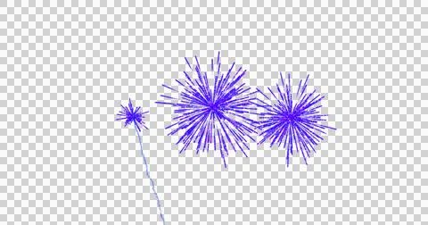 Image of purple fireworks exploding on white background Illustrazione stock