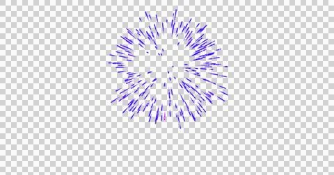 Image of purple fireworks exploding on white background Stock Illustration