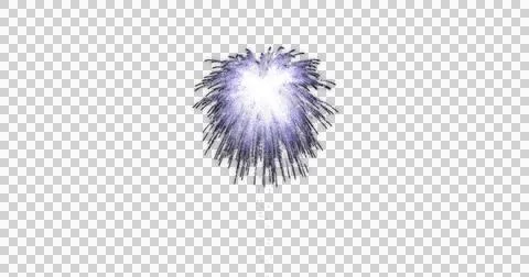 Image of purple fireworks exploding on white background Stock Illustration