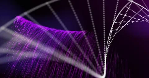 Image of purple spots falling and dna strand on black background Stock Photos