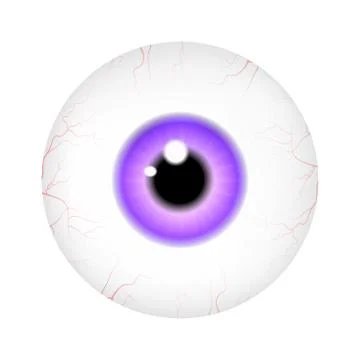 Image of realistic human eye ball with colorful pupil, iris. Vector illustrat Stock Illustration