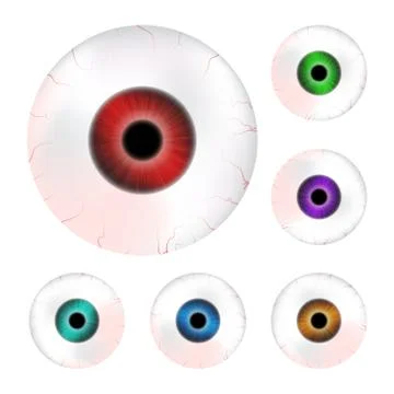 Image of realistic human eye ball with colorful pupil, iris. Vector illustrat Stock Illustration