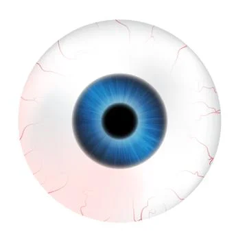 Image of realistic human eye ball with colorful pupil, iris. Vector illustrat Stock Illustration
