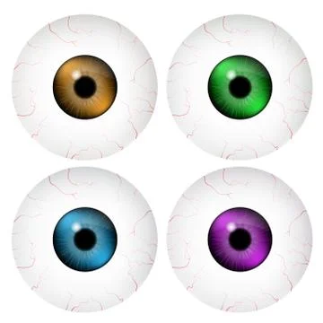 Image of realistic human eye ball with colorful pupil, iris. Vector illustrat Ilustración de archivo