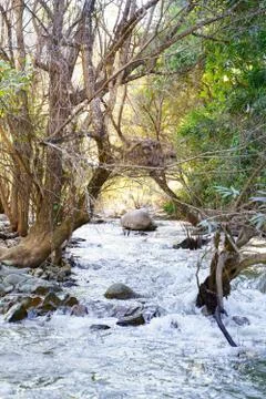 The image of a river and stream flowing through the rocks in the rich natural Stock Photos