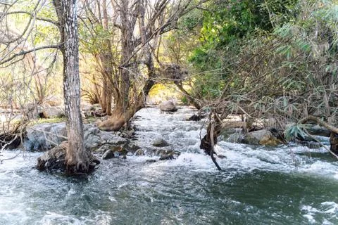 The image of a river and stream flowing through the rocks in the rich natural Stock Photos