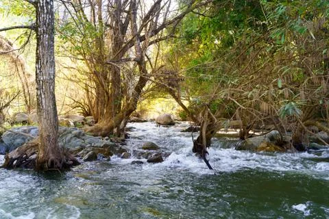 The image of a river and stream flowing through the rocks in the rich natural Stock Photos