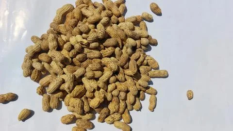 Image of roasted peanuts in shells with a dry and crunchy texture Stock Photos