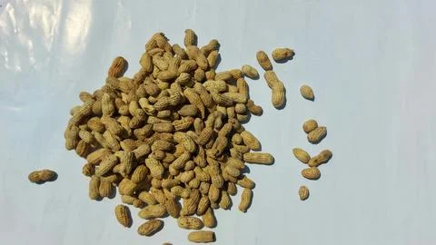 Image of roasted peanuts in shells with a dry and crunchy texture Stock Photos