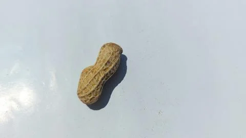 Image of roasted peanuts in shells with a dry and crunchy texture Stock-Fotos