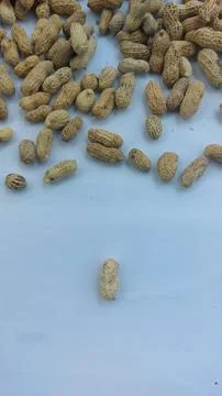 Image of roasted peanuts in shells with a dry and crunchy texture Stock Photos
