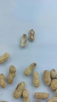 Image of roasted peanuts in shells with a dry and crunchy texture Stock Photos