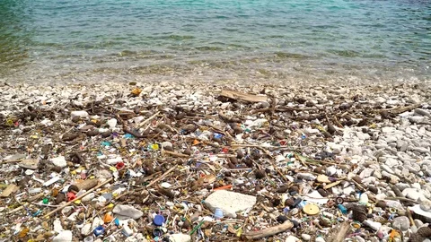 Image of rock beach full of plastic trash, Croatia. Stock Footage 118085790
