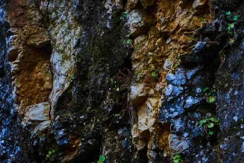 Image of a rocky wall. Stock Photos