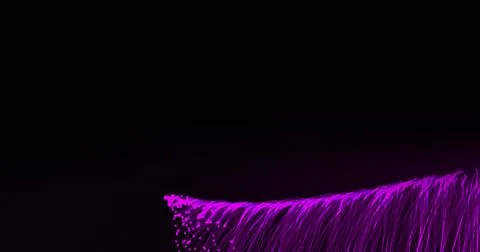 Image of rolling explosion of purple light trails on black background Illustrazione stock