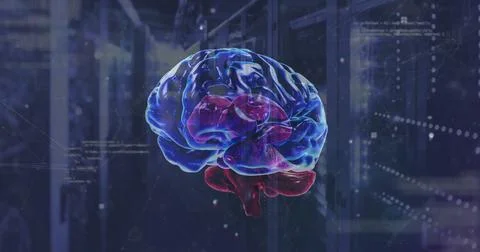 Image of rotating brain over network and processing data on dark background Foto stock