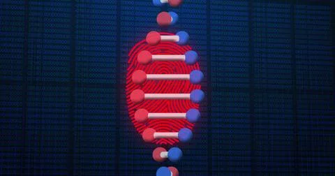 Image of scanning fingerprint, with 3d dna strand and research data processing 库存插图