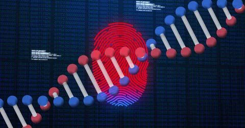 Image of scanning fingerprint, with 3d dna strand and research data processing 库存插图