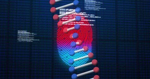 Image of scanning fingerprint, with 3d dna strand and research data processing Stock Illustration