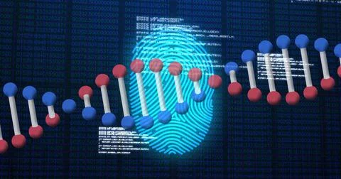 Image of scanning fingerprint, with 3d dna strand and research data processing Illustrazione stock