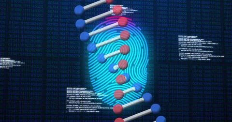 Image of scanning fingerprint, with 3d dna strand and research data processing 库存插图