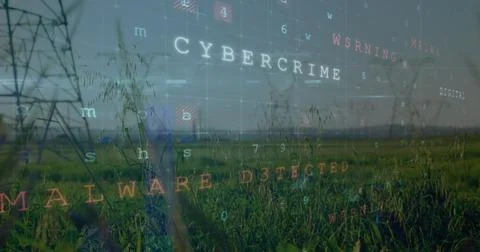 Image of scanning, virus warning and digital padlock over electricity poles Stockfoto's