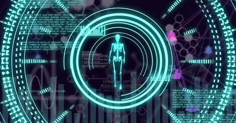 Image of scientific data processing and skeleton over dark background Illustrazione stock