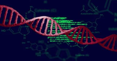 Image of scientific data processing and dna strand over dark background Stock Photos