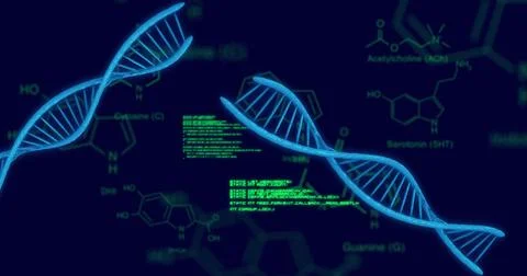 Image of scientific data processing and dna strands over dark background 스톡 사진