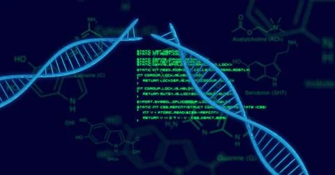 Image of scientific data processing and dna strands over dark background Stock Photos