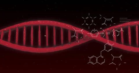 Image of scientific data processing and dna strand over black background Stockfoto's