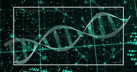 Image of scientific data processing over dna strand on digital screens Stock Illustration