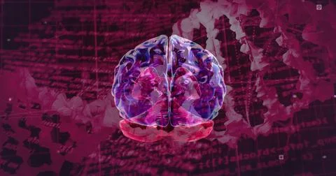 Image of scientific data processing over human brain and dna strands on dark イラスト素材