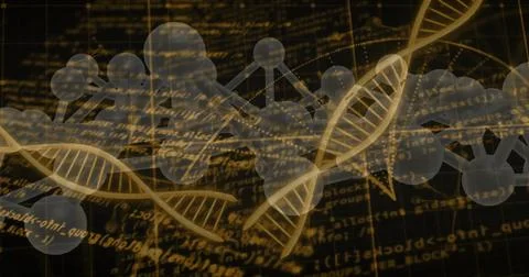 Image of scientific data processing over dna strands on dark background Stock Illustration