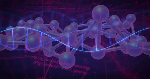 Image of scientific data processing over dna strands on dark background イラスト素材
