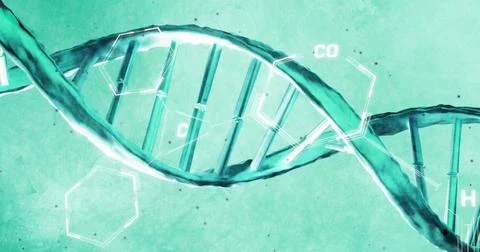 Image of scientific data processing over dna strand spinning Illustrazione stock