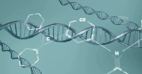 Image of scientific data processing over dna strands spinning Stock Illustration