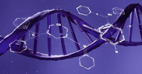 Image of scientific data processing over dna strand spinning Stockillustratie
