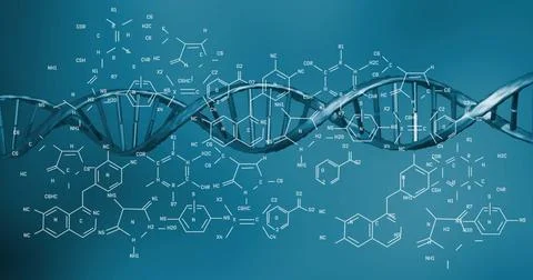 Image of scientific data processing over dna strand spinning Stock Illustration