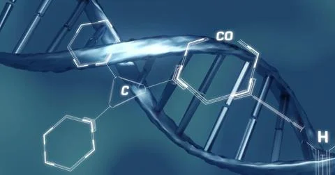 Image of scientific data processing over dna strand spinning 스톡 일러스트