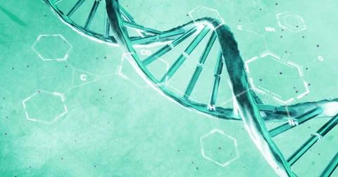 Image of scientific data processing over dna strand spinning イラスト素材