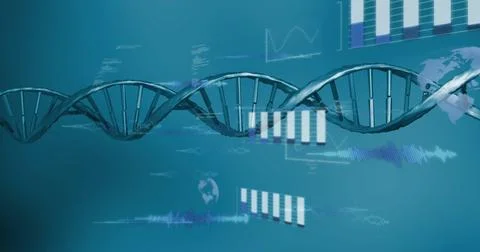 Image of scientific data processing over dna strand spinning Stock Illustration