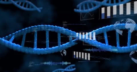 Image of scientific data processing over dna strand spinning Stock Illustration
